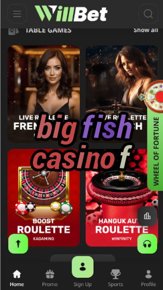 Big Fish Casino F - Fun Social Casino Games-casinoorder.vip