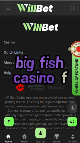 Big Fish Casino F - Fun Social Casino Games-casinoorder.vip