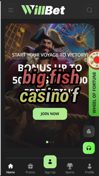 Big Fish Casino F - Fun Social Casino Games-casinoorder.vip